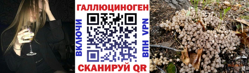 Псилоцибиновые грибы Psilocybe  Щёлкино 